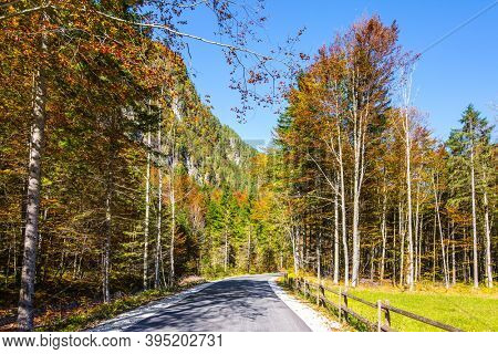 Asphalt road among yellow, green and orange autumn aspens and birches. Magnificent golden autumn in the mountains. Logarska Valley, Slovenia, Eastern Europe