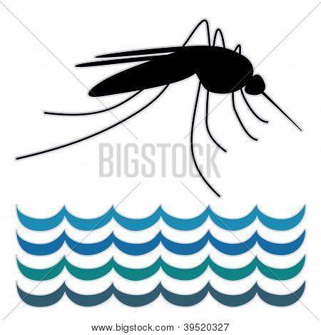Moskito, stehendes Wasser