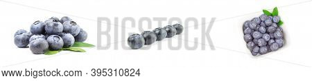 Set Of Bog Bilberry Isolated On A White Background