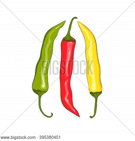 A Set Of Sharp Hot Chilli Peppers. Red Pepper, Yellow Pepper And Green Pepper. Collection Hot Chilli