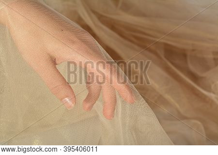 Color Beige Golden Champagne Elegant Womens Hand With Elastic Fatin Fabric Organza Tulle Mesh. For S