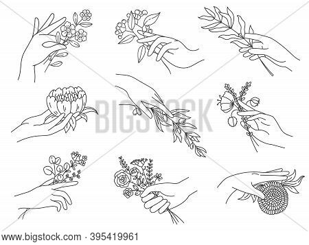 Hands Holding Flowers Vector Photo Free Trial Bigstock