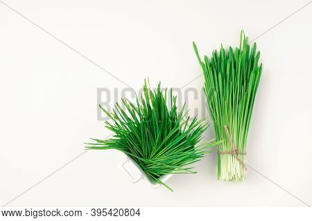 Green Wheat Grass In A Bouquet And A White Cup With Sprouts On A White Background.