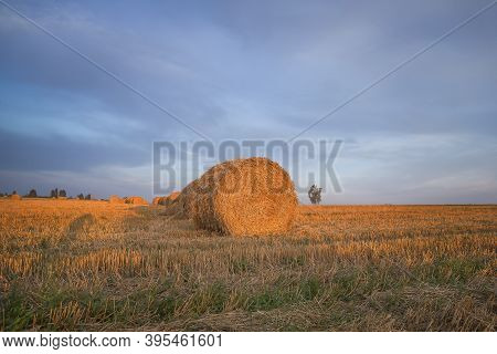 Sheaves Of Soom On The Field, Harvesting Landscape.