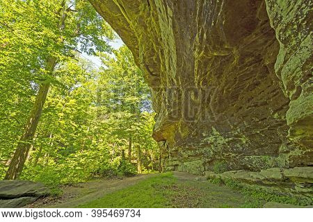 Sandstone Cave In A Verdant Forest On The Rim Rock Trail In Shawnee National Forest In Illinois