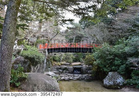 A Hidden Bridge In The Woods Of Kyoto