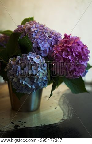 Blossoming Flower Bouquet Of Fresh Hydrangea On Table. Bunch Of Blue, Pink Hydrangeas. Tender Fluffy