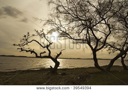 The Rï¿½o De La Plata (river Of Silver)