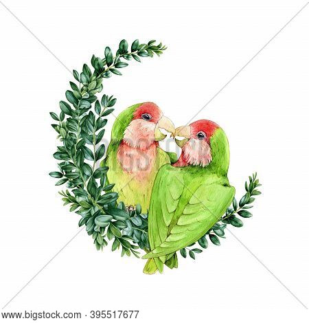 Lovebird Couple Parrots On A Buxus Wreath Watercolor Illustration. Exotic Tropical Birds Symbol Of T