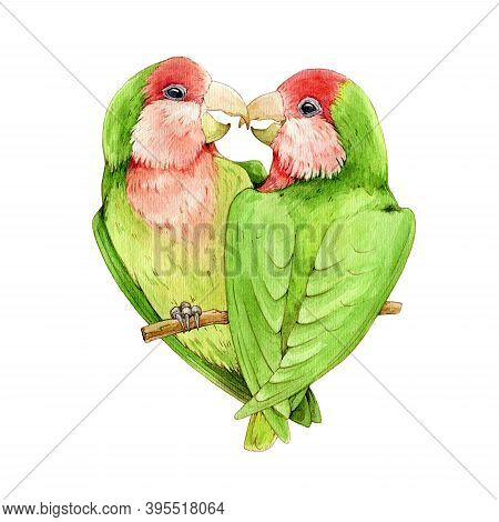 Lovebird Parrot Watercolor Illustration. Beautiful Couple Of Exotic Birds. Green Lovingbirds On A Br