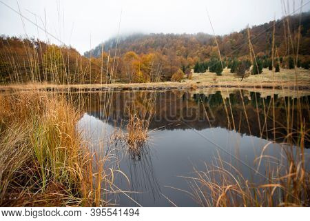 Scenic autumn view of small lake at Roosterâs Ridge, Gutaiului Mountains, Romania.