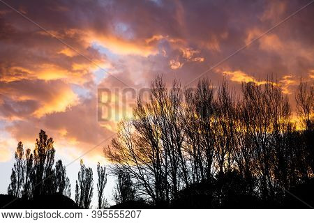 Shocking Sunset Among Dry Trees. Backlight Of Dry Branches With The Sky.
