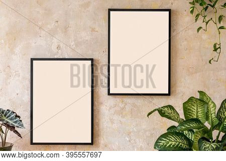Interior Design Of Living Room With Two Black Poster Mock Up Frames And Potted Plants. Grunge Wabi S