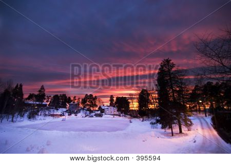 Violetti Sunset