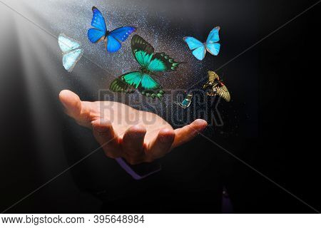 Butterflies Over Hands On A Black Background And Rays