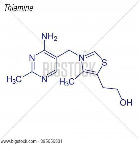 Vector Skeletal Formula Of Thiamine. Drug Chemical Molecule.
