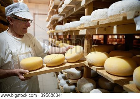 Cheese maker at the storage with shelves full of cow and goat cheese