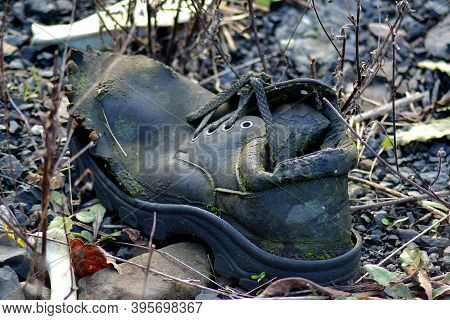 A Sad Look At An Unnecessary Torn Shoe Forgotten By A Man On The Edge Of An Autumn Meadow