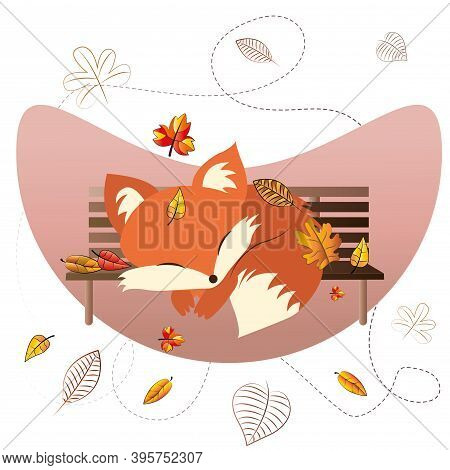 Little Fox Asleep On Bench. Autumn Season - Vector