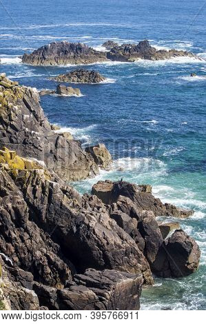 Saltee Islands At Wexford Ireland In A Sunny Day.