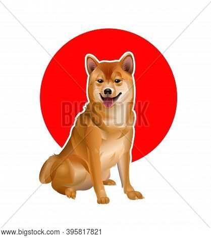 Dog Shiba Inu. Japanese Breed Of Dog. Japanese Dogs Hokkaido Akita Inu Against The Background Of The