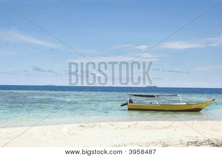 Tropical Beach