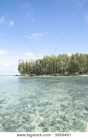 Tropical Island