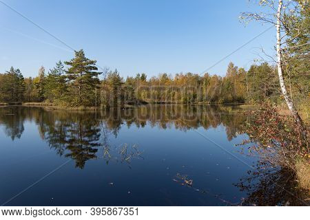 Territory Of Sestroretsk Swamp Reserve. Saint-petersburg. Russia