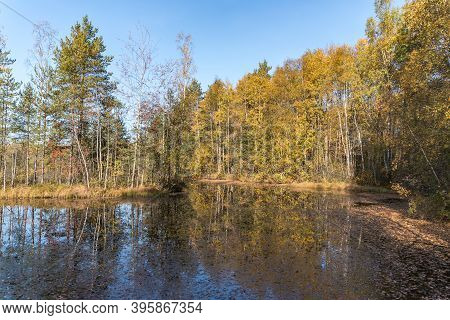 Territory Of Sestroretsk Swamp Reserve. Saint-petersburg. Russia