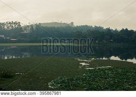 Scenic View Of Yercaud Lake Which Is One Of The Largest Lakes In Tamil Nadu, India
