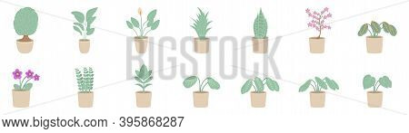 Vector Illustration Of Indoor Plants In A Pot. Houseplants Isolated On White Background.