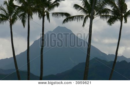 Kaneohe Bay