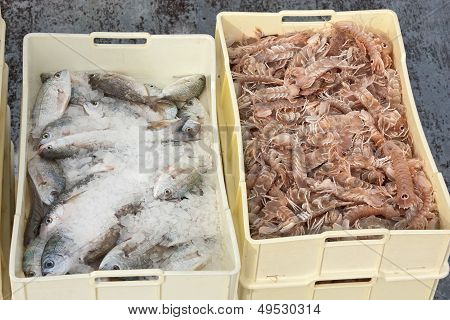 Casse di pesce appena pescato
