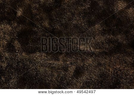 Fur Fabric Background
