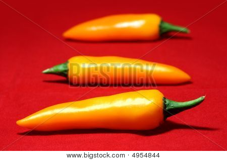 Pimiento amarillo cabra