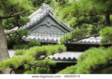 Japonia Tokio Tokyo Imperial Palace na dachu z Otemon (wschodnia brama) postrzegany przez drzewa