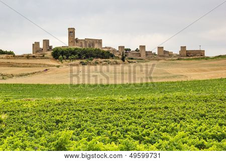 El Cerco De Artajona