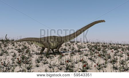 mamenchisaurus dinosaur walks in field of red flowers