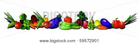 garden. vector