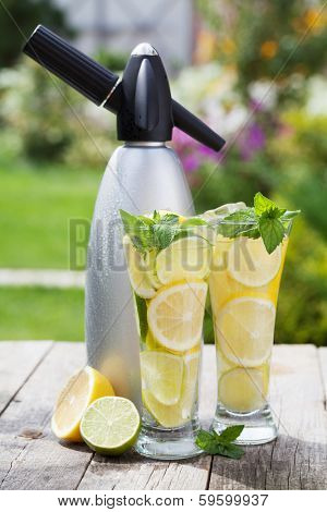 Homemade lemonade with fresh citruses and siphon on garden table