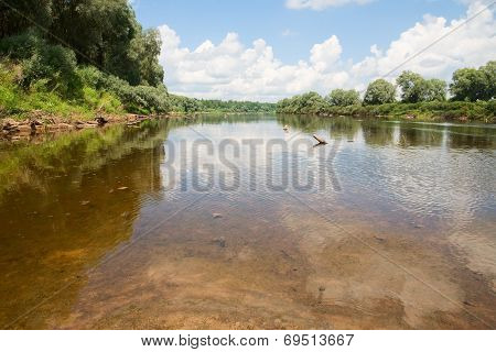 Summer On The Forest River. Sunny Day