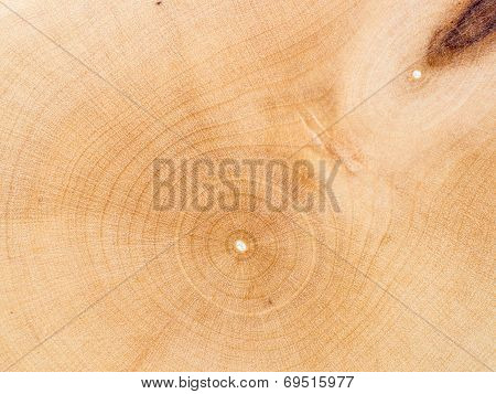 Wooden boxwood cut background