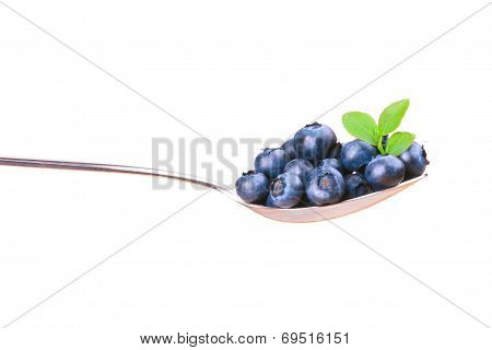 Blueberry