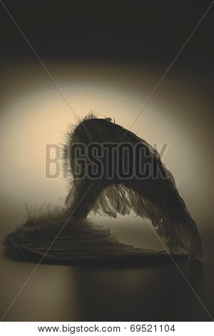Angel's Wings On White Background With Glow