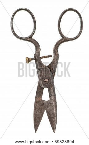 Antique Ruty Scissors Isolated On White Background