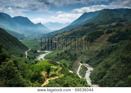 Rice Field Terraces At Sapa Vietnam