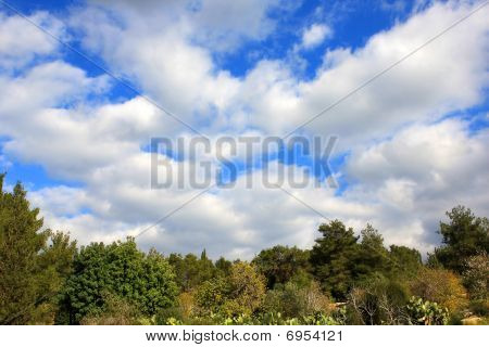 Paisaje