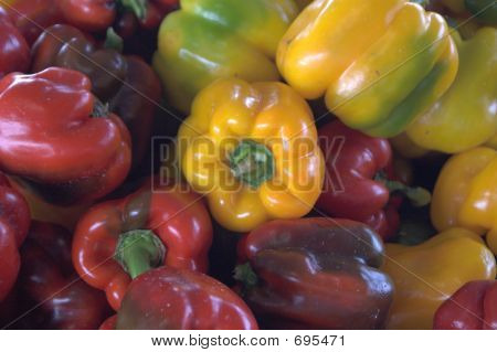 colorpepper