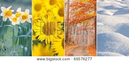 Four Seasons