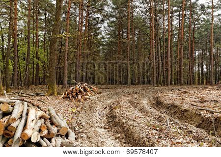 Logging